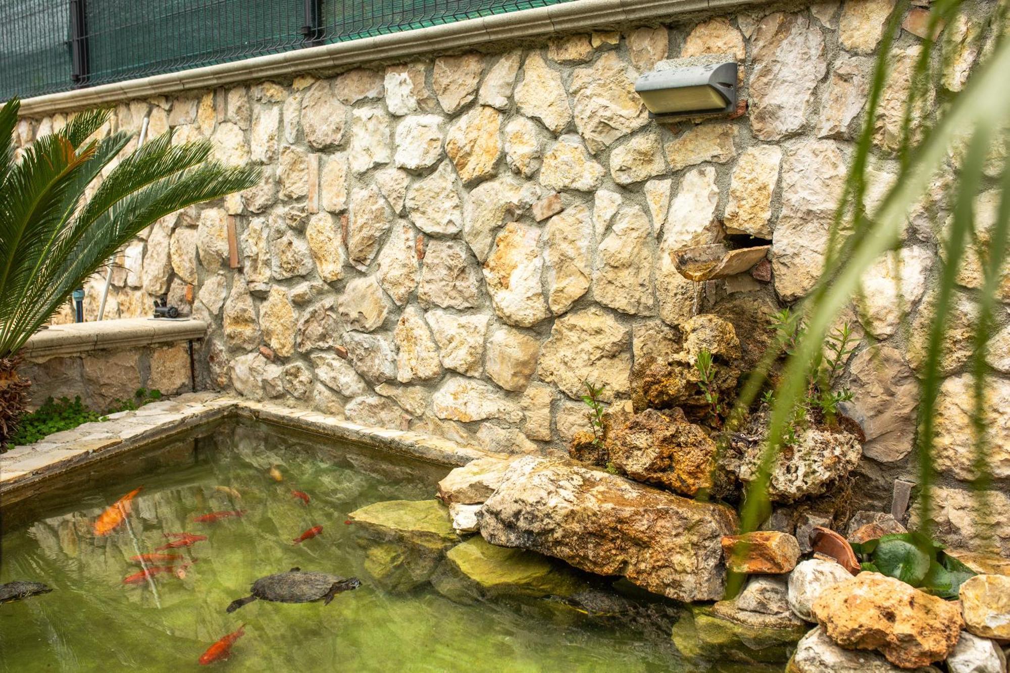 Green Oasis Gabella Кастельфорте Экстерьер фото